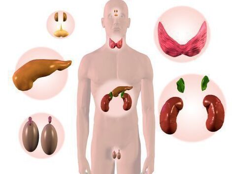 organen van het endocriene systeem en psoriasis